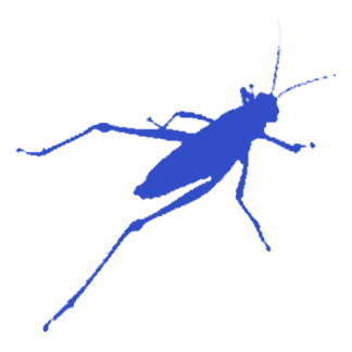 Grasshopper - Introduzione alla modellazione generativa