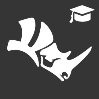 Rhino Expert